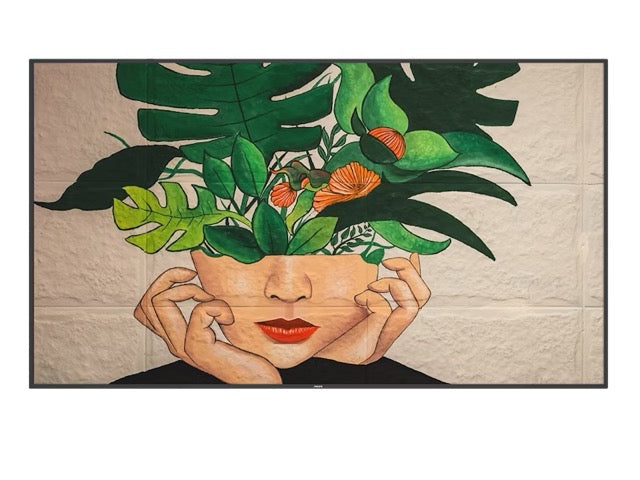 Philips D-Line UHD Large Format Display 86BDL4511D/00