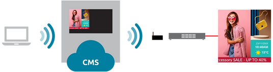 DVLED System Illustration