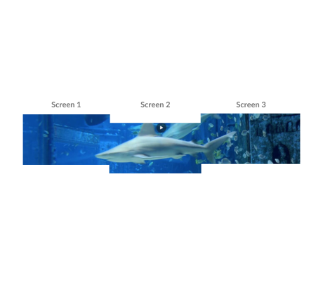 Combining Cropped Video or Image Segments Using FFmpeg