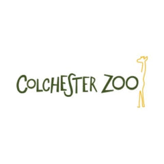 Colchester Zoo logo with a giraffe illustration on a white background